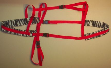 Red Harness w/ Zebra Print Padding