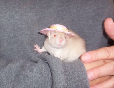 Fancy In Her Fancy Bonnet