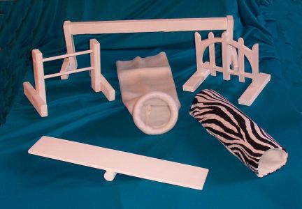 Rat White Agility Set