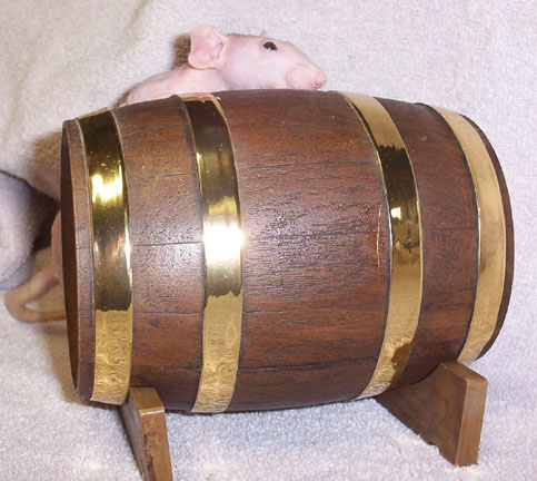 spirit_barrel.jpg